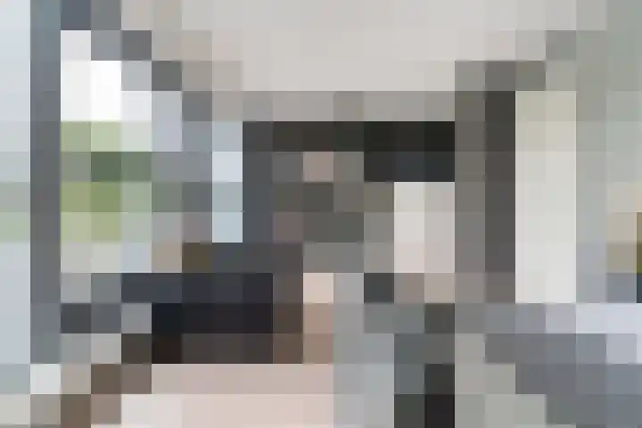 het Vallaat 28 Sneek thumbnail 35