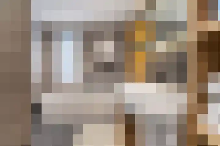 het Vallaat 28 Sneek thumbnail 38