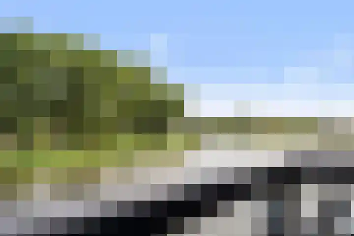 het Vallaat 28 Sneek thumbnail 40