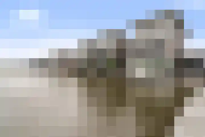 het Vallaat 28 Sneek thumbnail 43