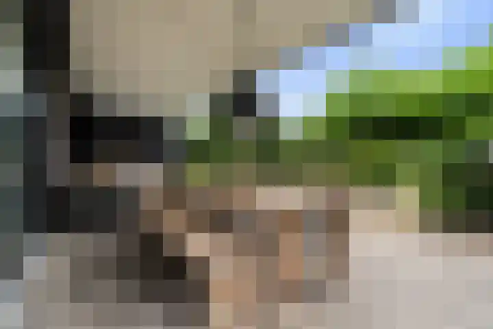 het Vallaat 28 Sneek thumbnail 46