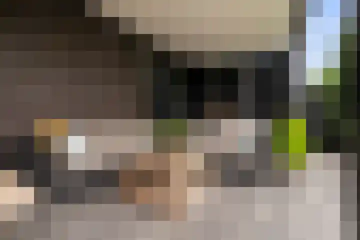 het Vallaat 28 Sneek thumbnail 47