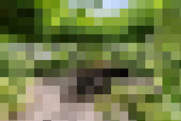 het Vallaat 28 Sneek thumbnail 49