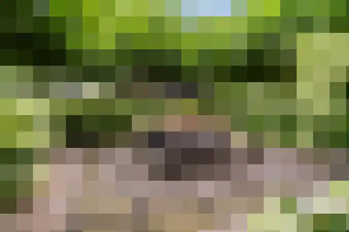 het Vallaat 28 Sneek thumbnail 50