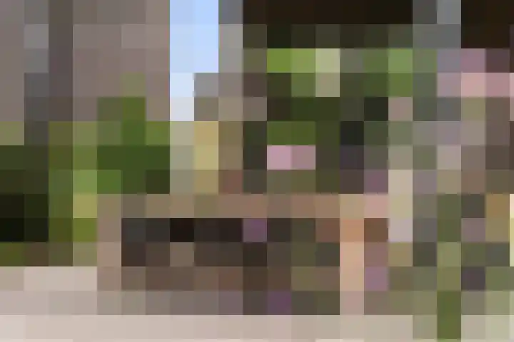 het Vallaat 28 Sneek thumbnail 52