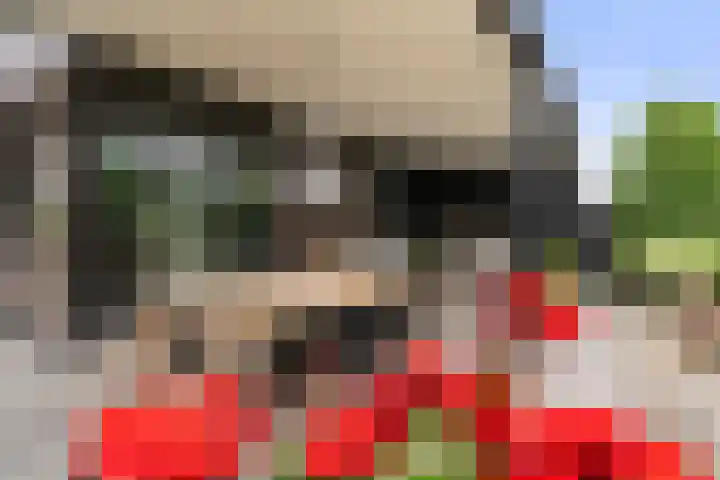 het Vallaat 28 Sneek thumbnail 53