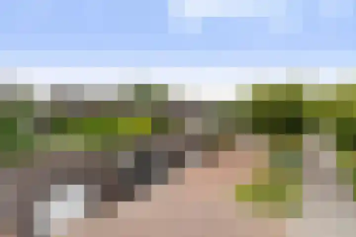 het Vallaat 28 Sneek thumbnail 56