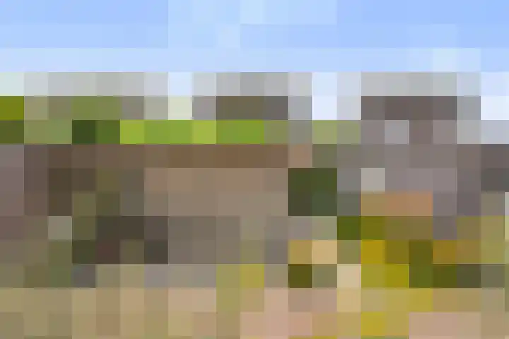 het Vallaat 28 Sneek thumbnail 58