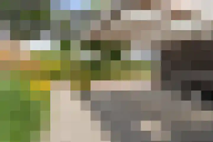 het Vallaat 28 Sneek thumbnail 59