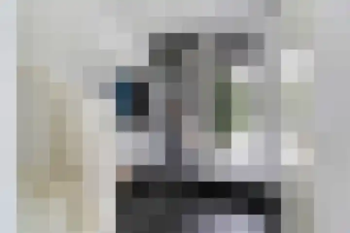 het Vallaat 28 Sneek thumbnail 6