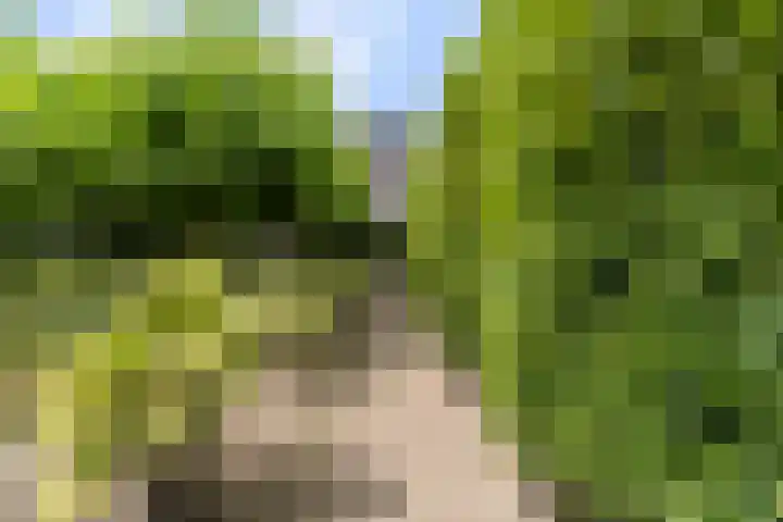 het Vallaat 28 Sneek thumbnail 60