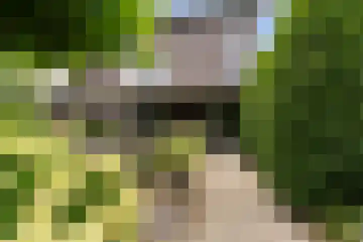 het Vallaat 28 Sneek thumbnail 61