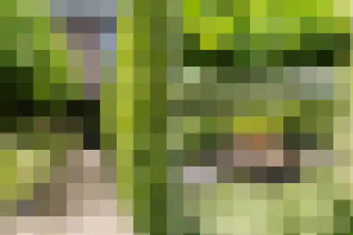 het Vallaat 28 Sneek thumbnail 62