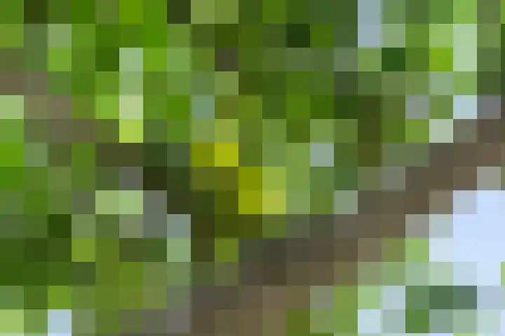 het Vallaat 28 Sneek thumbnail 63