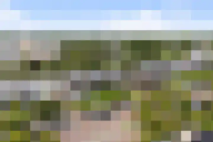 het Vallaat 28 Sneek thumbnail 65