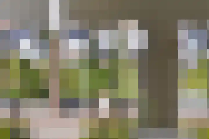 het Vallaat 28 Sneek thumbnail 66