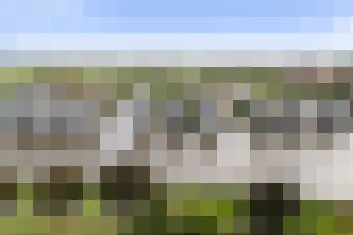 het Vallaat 28 Sneek thumbnail 67