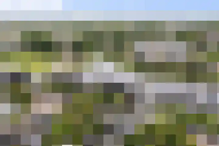het Vallaat 28 Sneek thumbnail 68