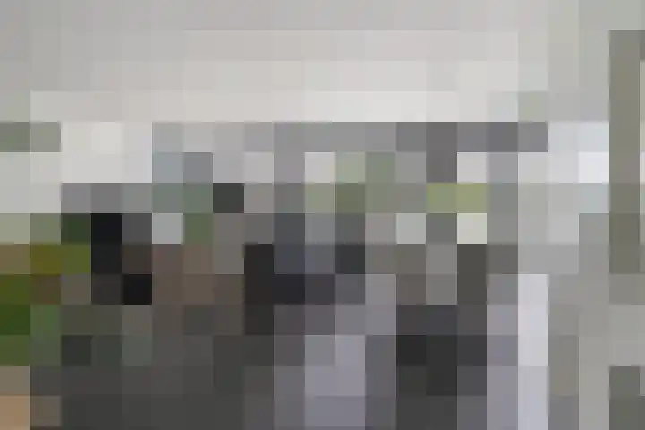 het Vallaat 28 Sneek thumbnail 8