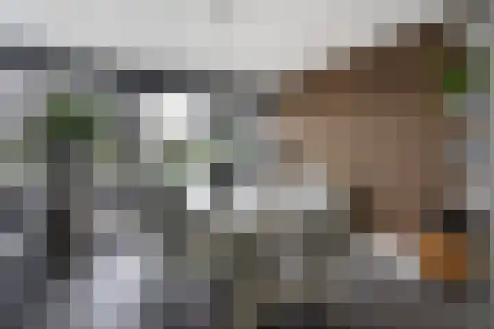 het Vallaat 28 Sneek thumbnail 9