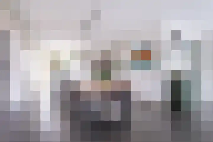 het Vallaat 29 Sneek thumbnail 31