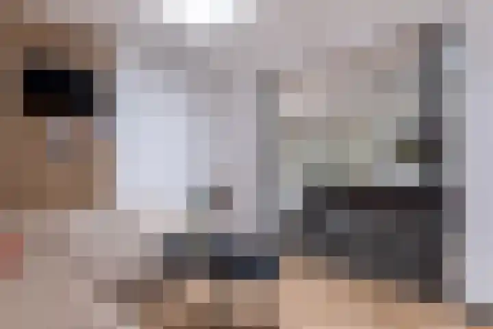 het Vallaat 29 Sneek thumbnail 32