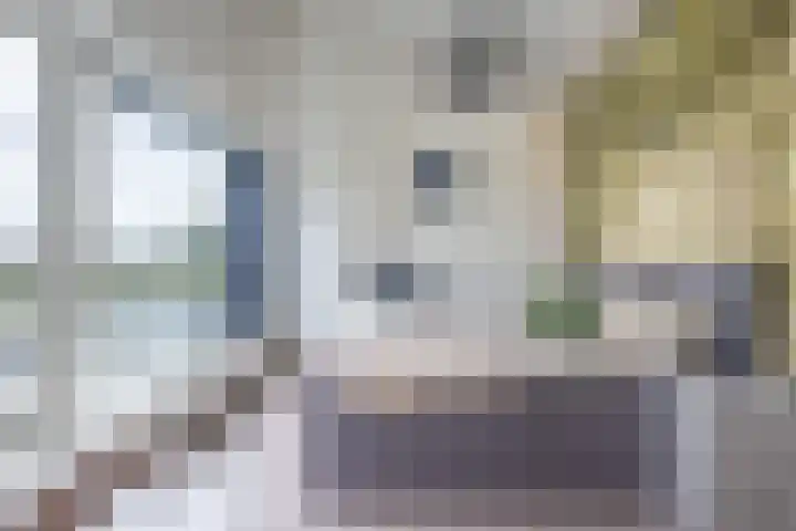 het Vallaat 29 Sneek thumbnail 4