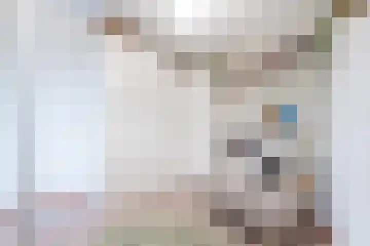 het Vallaat 29 Sneek thumbnail 44