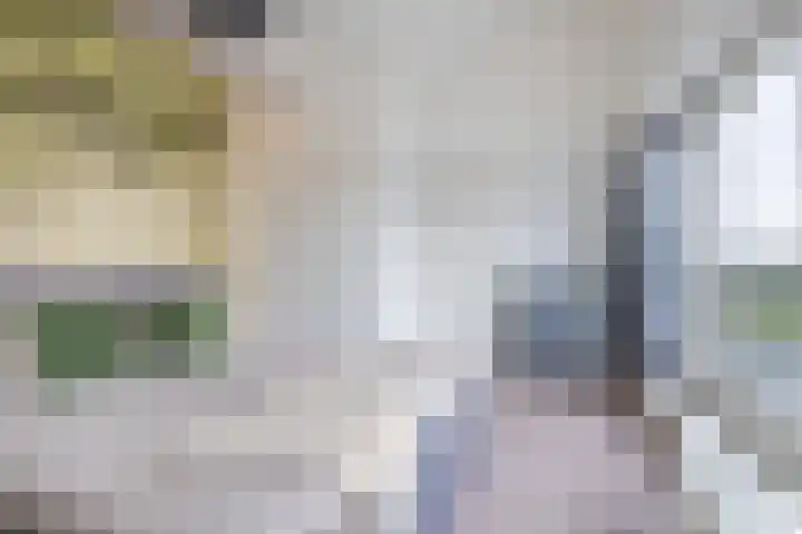 het Vallaat 29 Sneek thumbnail 45