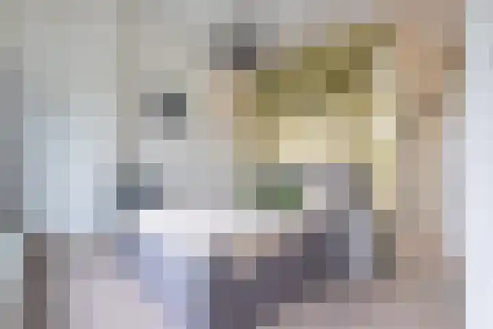 het Vallaat 29 Sneek thumbnail 46