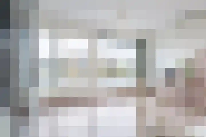 het Vallaat 29 Sneek thumbnail 52