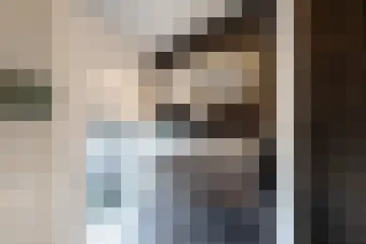 het Vallaat 29 Sneek thumbnail 55