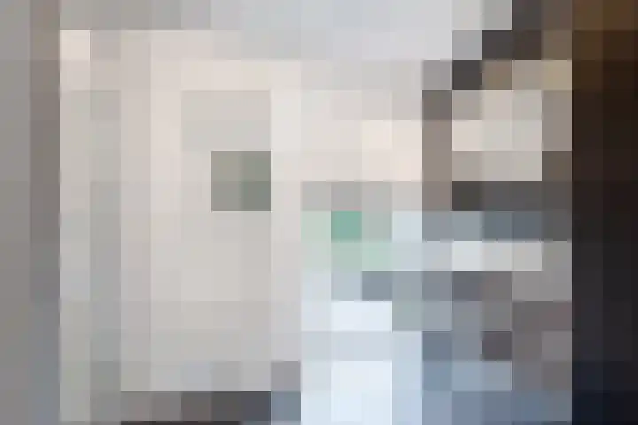 het Vallaat 29 Sneek thumbnail 58
