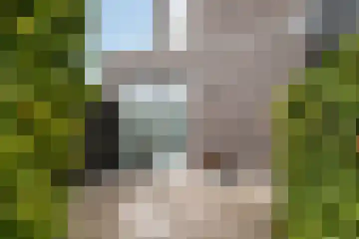 het Vallaat 29 Sneek thumbnail 67