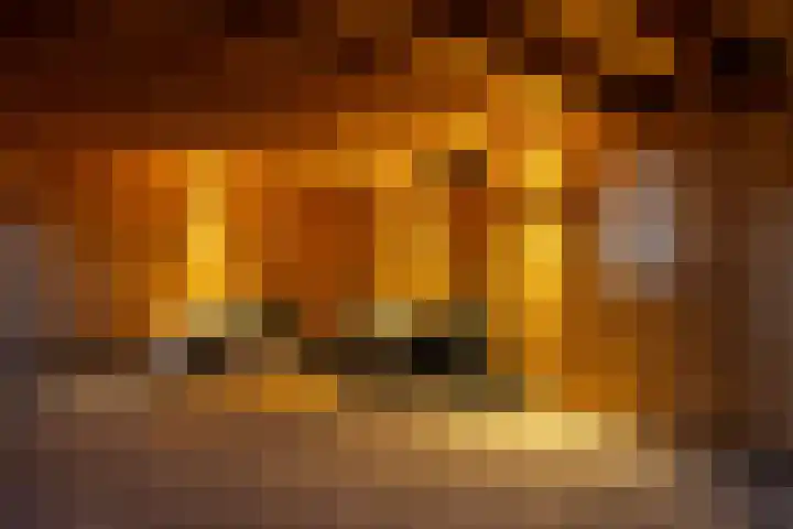 het Vallaat 29 Sneek thumbnail 73