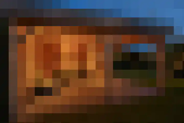 het Vallaat 29 Sneek thumbnail 74