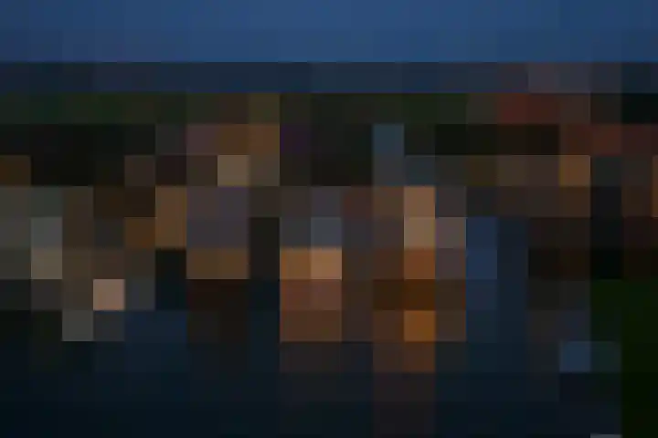 het Vallaat 29 Sneek thumbnail 89