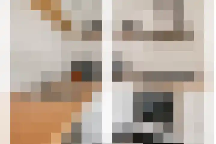 Het Var 14 Leeuwarden thumbnail 11