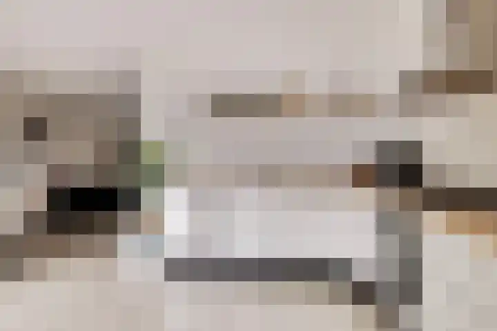 Het Var 14 Leeuwarden thumbnail 12