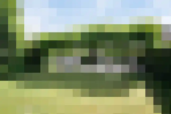 Het Var 14 Leeuwarden thumbnail 30