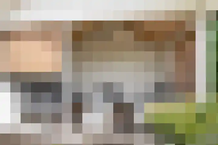 Het Var 14 Leeuwarden thumbnail 32