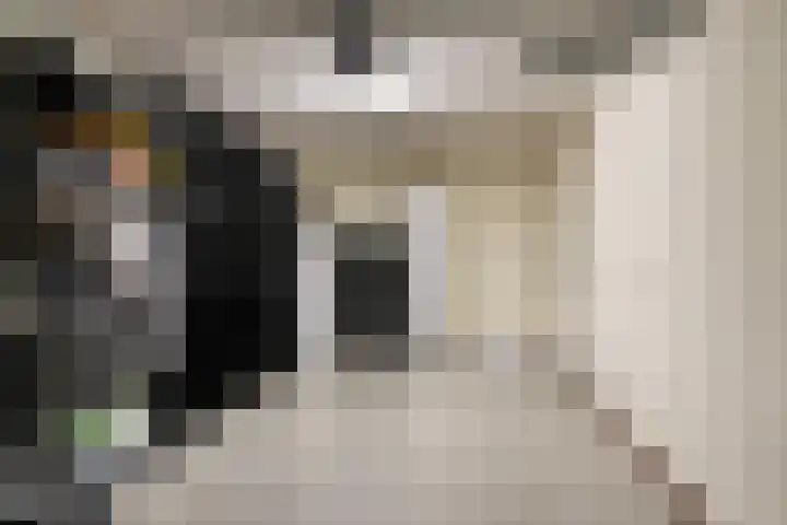 Het Var 14 Leeuwarden thumbnail 34