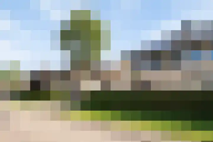 Het Var 14 Leeuwarden thumbnail 37