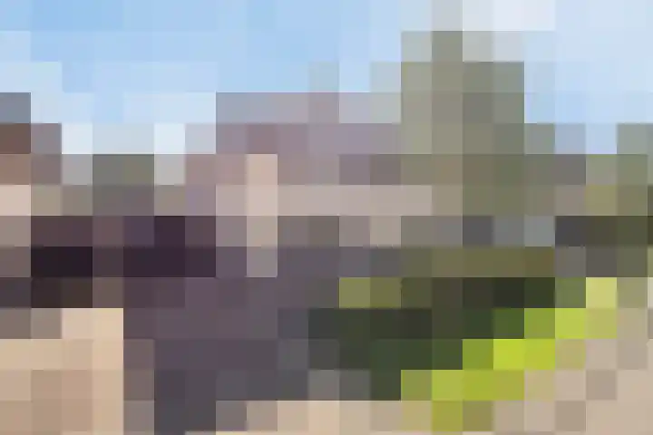 Het Var 14 Leeuwarden thumbnail 38