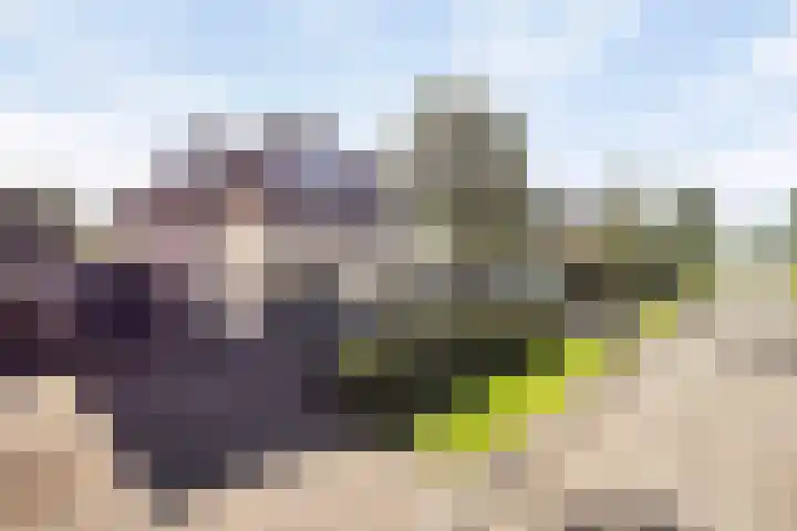 Het Var 14 Leeuwarden thumbnail 39