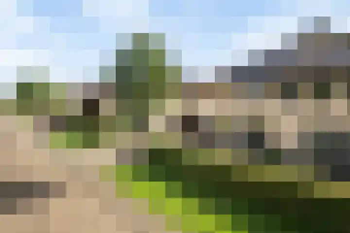 Het Var 14 Leeuwarden thumbnail 40