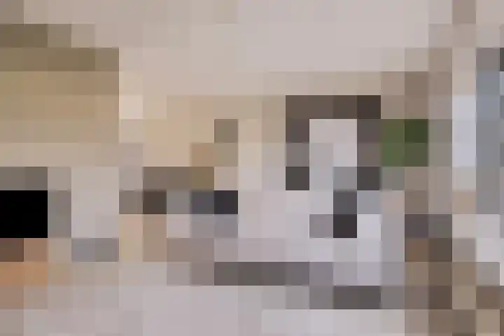 Het Var 14 Leeuwarden thumbnail 6