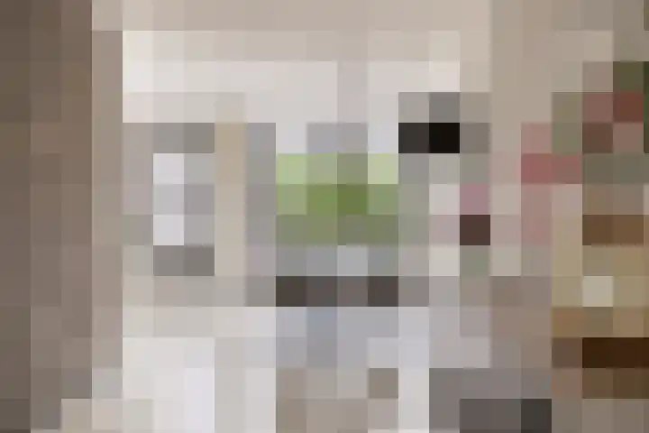 Het Var 14 Leeuwarden thumbnail 7