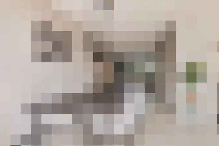 Het Var 14 Leeuwarden thumbnail 8