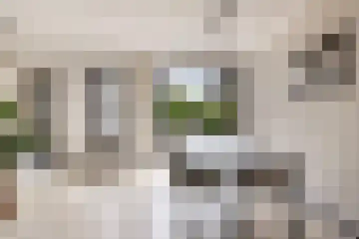 Het Var 14 Leeuwarden thumbnail 9